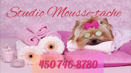 studio mousse-tache