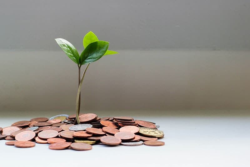 What is Assurance Vie and What are the Tax Benefits?