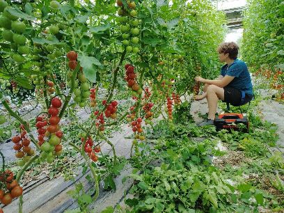 Jardins Pleines Saveurs
