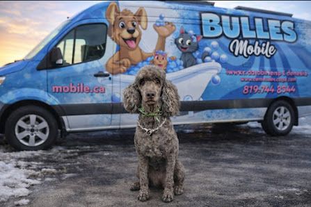 Bullesmobile
