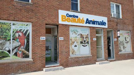Centre De La Beauté Animale