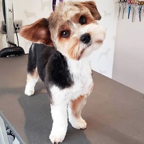 Barking Barber
