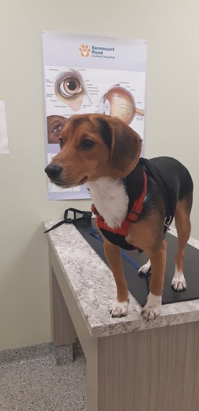 Kenmount Road Animal Hospital