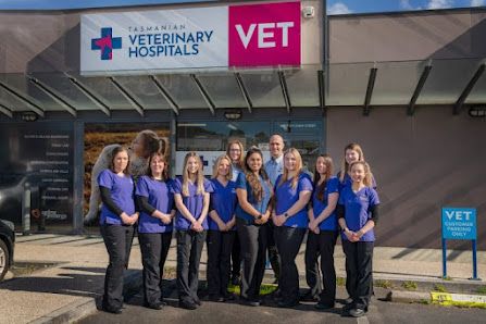Tasmanian Veterinary Hospitals Kingston