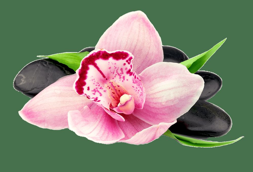 Juliecotemasso
