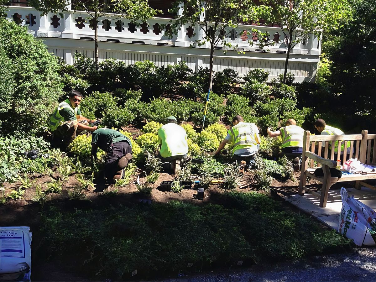 Landscape Design and Construction
