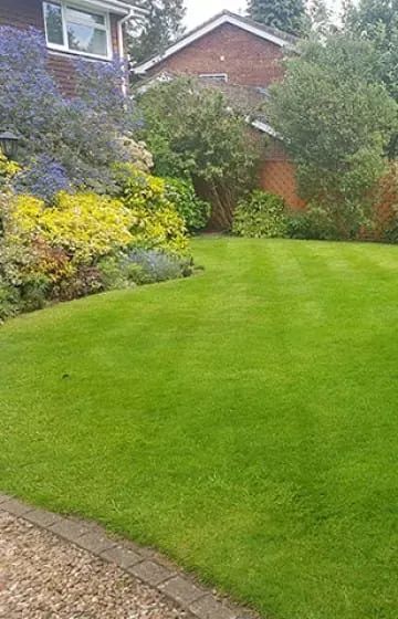 Lawn Care Areas
