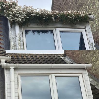 Gutter & Downspout Cleaning