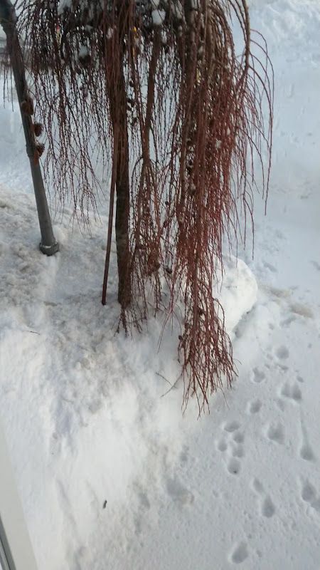 Déneigement croisetière
