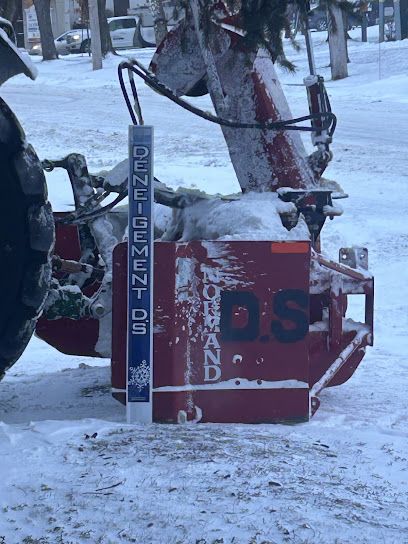 Déneigement DS