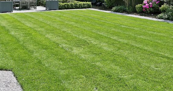 Snow and Ice Removal — Diamond Lawn, Snow, and Landscaping