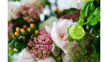FREE Flower Delivery Saint John NB