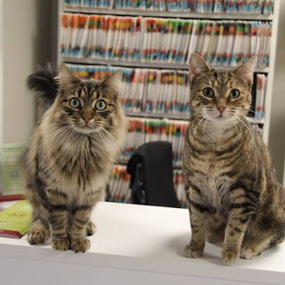 Bridle Trail Veterinary Clinic