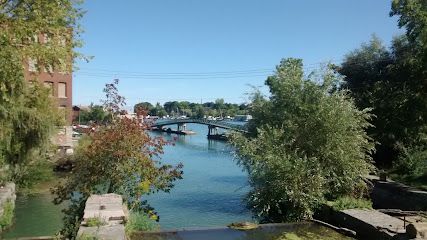 St. Catharines mayor puts out urgent call for help from his flooded basement