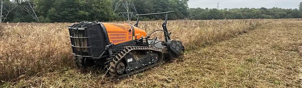 Site Clearance London