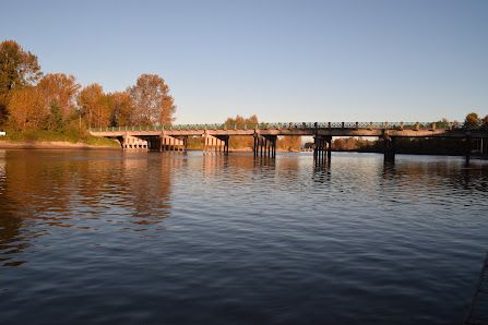 Fort Langley Acupuncture