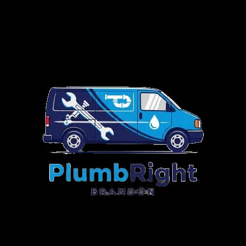 Plumber Brandon FL