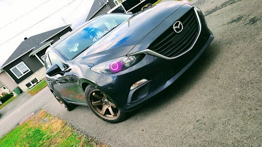 Polish Car