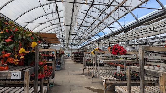 The Greenery Garden Centre Online Catalogue