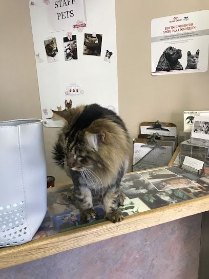 Glebe Pet Hospital