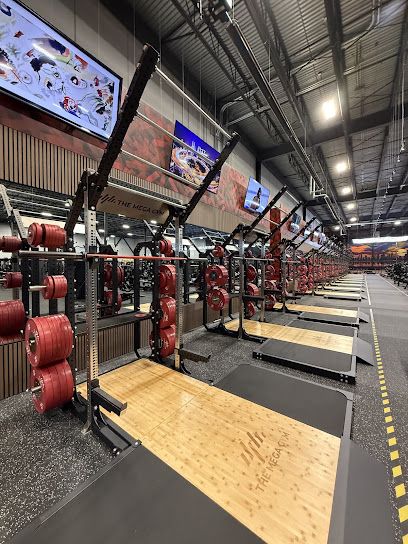 The Mega Gym
