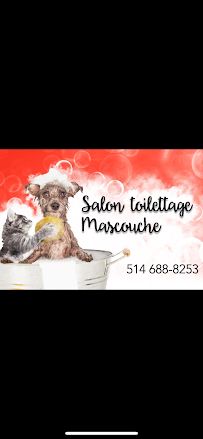 Salon toilettage mascouche