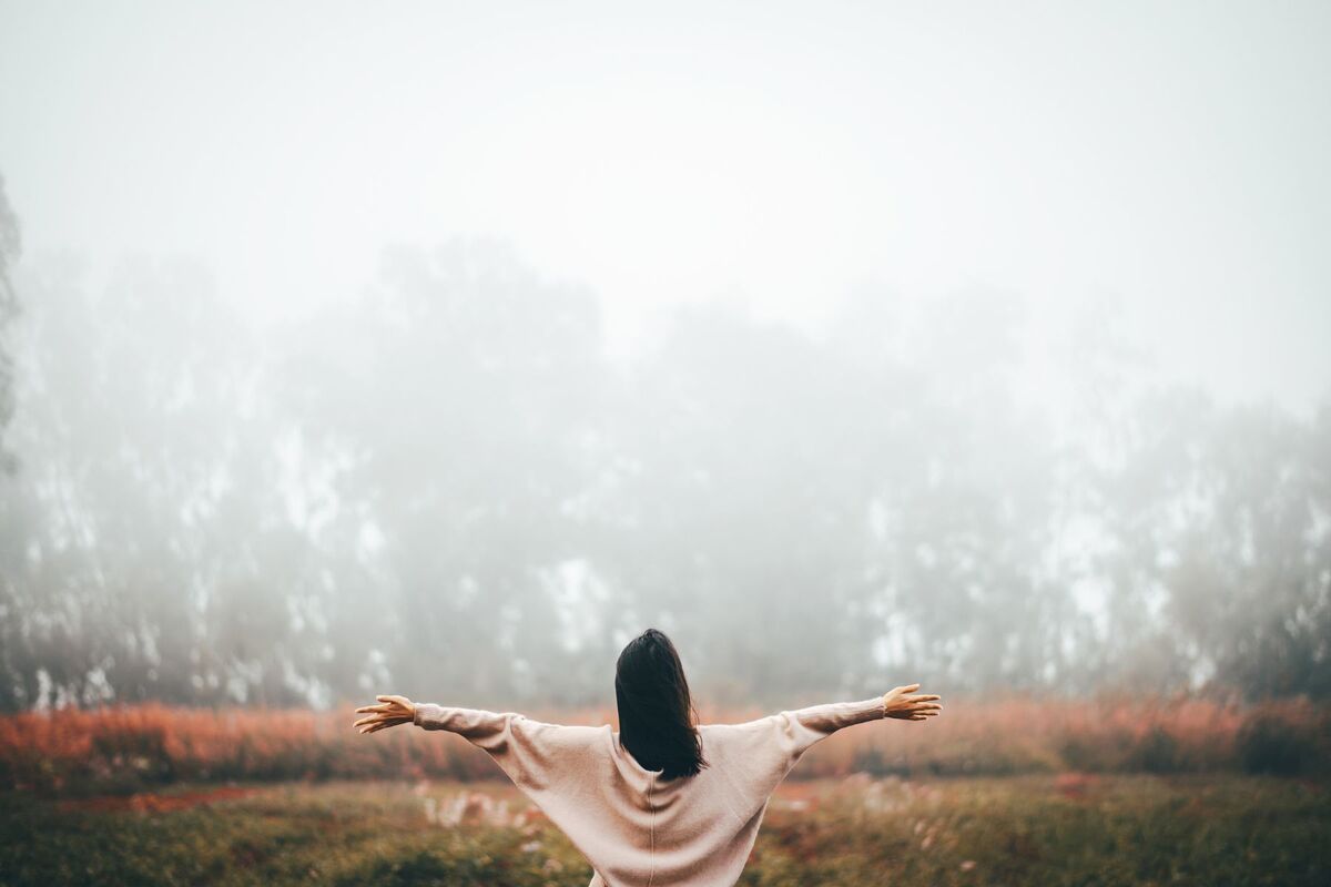Chiropractic, RMT Massage Therapy and more