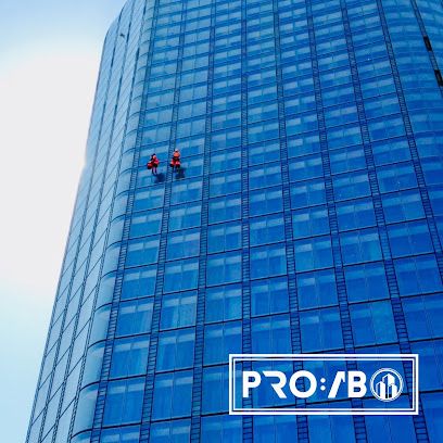 Pro