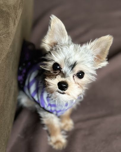 Highlands Pet Hospital