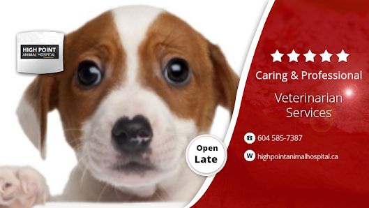 High Point Animal Hospital