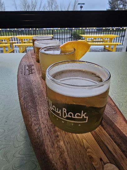 Way Back Brew Co.