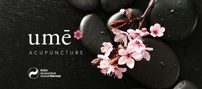 Boo Your Acupuncture or Message Session Here
