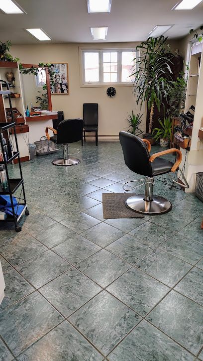 Salon Bel-A-Ro Coiffure