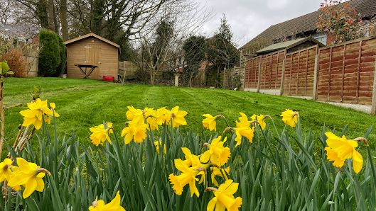 Jakeâs Lawn Care Ltd