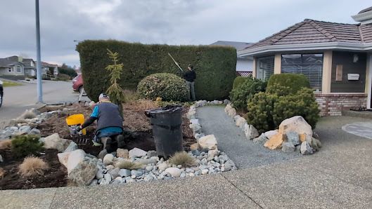 Mark's Yard & Home