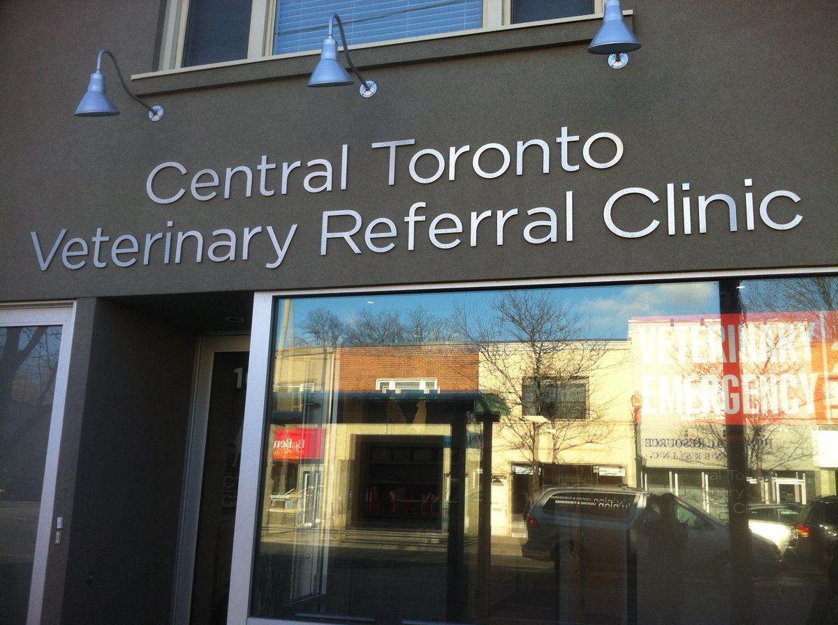 Toronto Veterinary Clinic