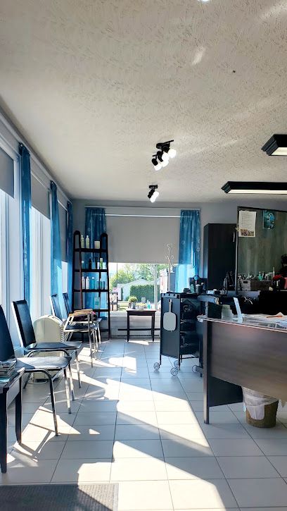 Salon La Criniere