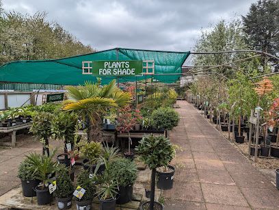 Bucklandnurseries