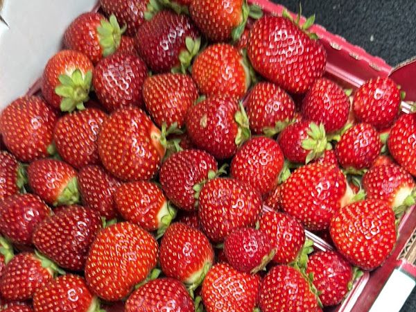 Fruits & Légumes Bessette