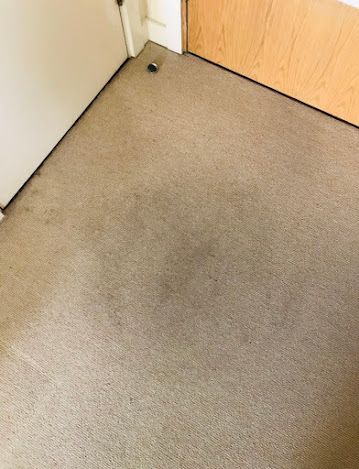 Carpet Cleaning Richmond Hill