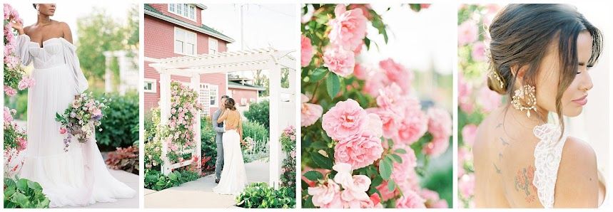 Jenny Jean Photography