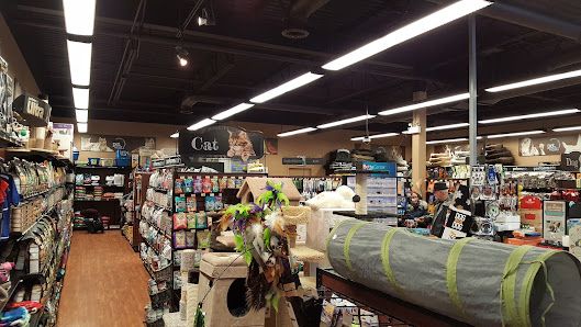 Pet Shop Sydney