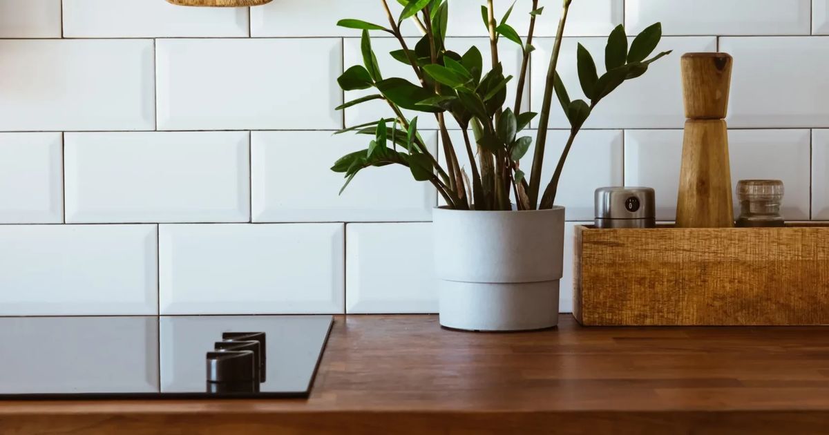 Lethbridge Cleaning Services