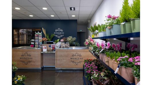 MONCEAU FLEURS VERNON SAINTE GENEVIÈVE
