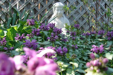 Spa Services, Joliet, Sojourn Therapeutic Massage