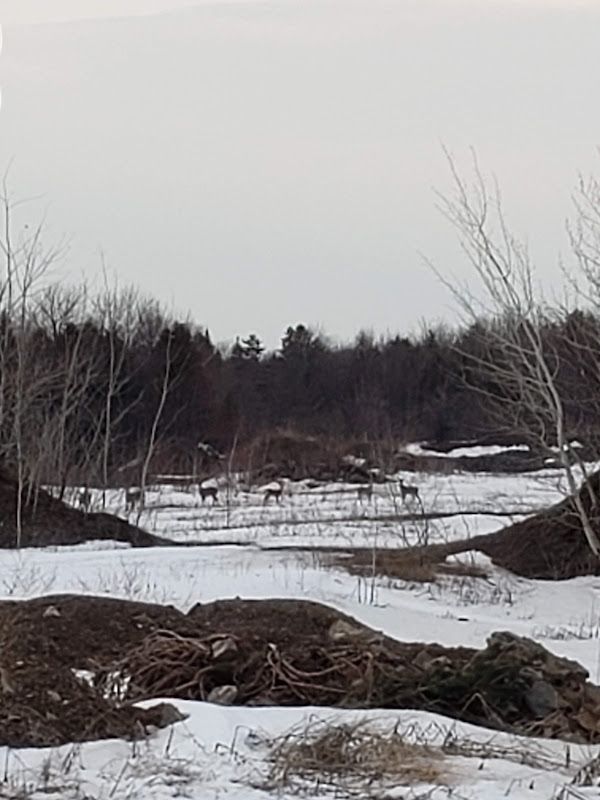 Construction Proulx et Quirion INC