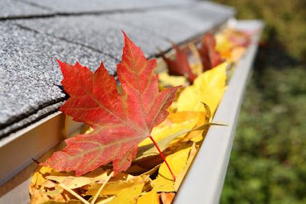Scout Gutter Solutions