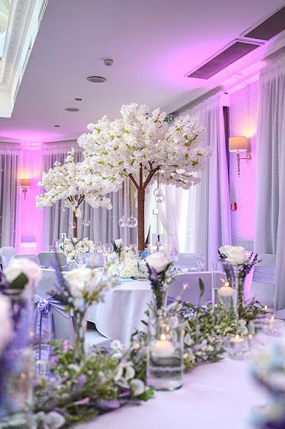 Event Decoration Rentals