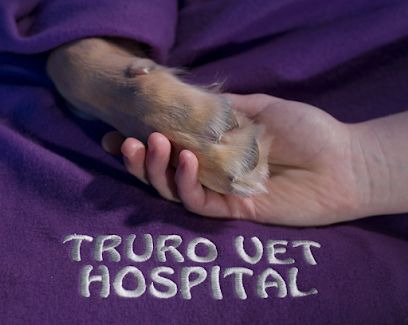 Trurovet