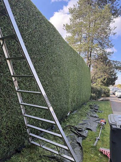 Landscaping Coquitlam